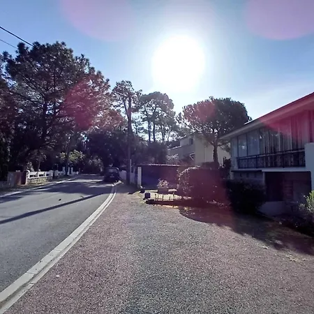 Georges De Didonne - Faites Halte - - Quartier Boise